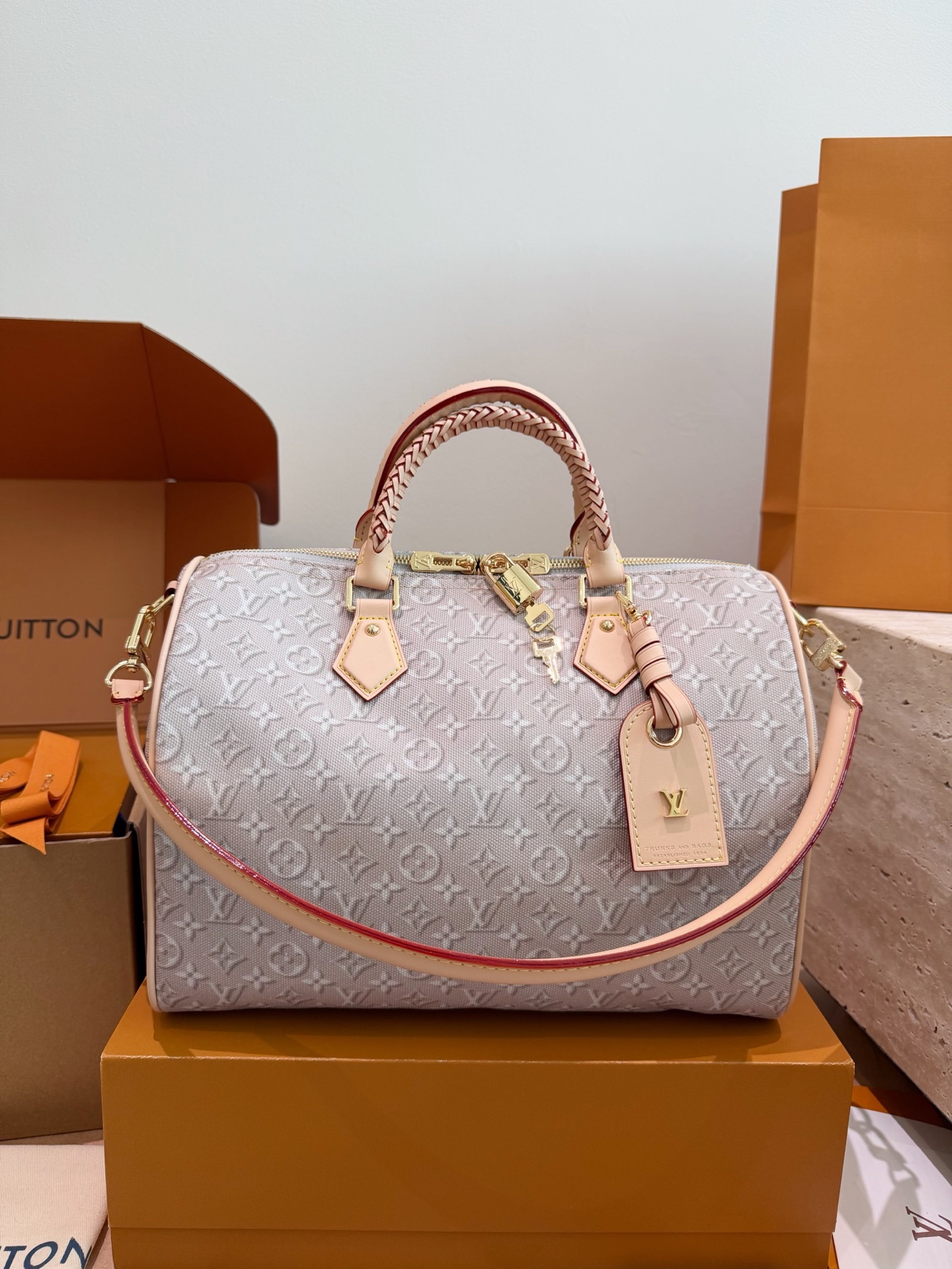 Louis Vuitton LV Speedy Women's Early Fall Collection Shoulder Carry